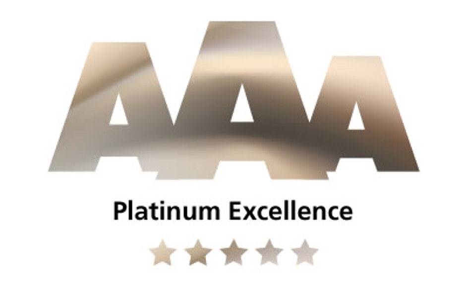 Certifikát Bisnode Platinum Excelence